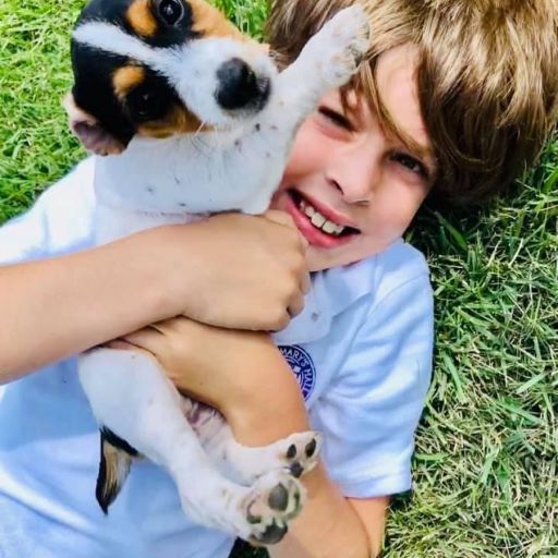 pet