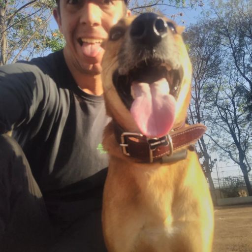 pet