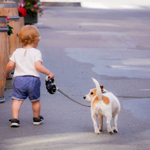 pet