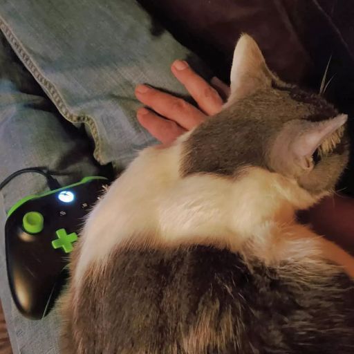 pet